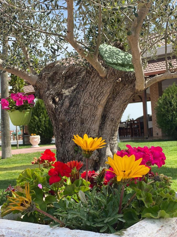 Ardenica Boutique Hotel Lushnjë Extérieur photo